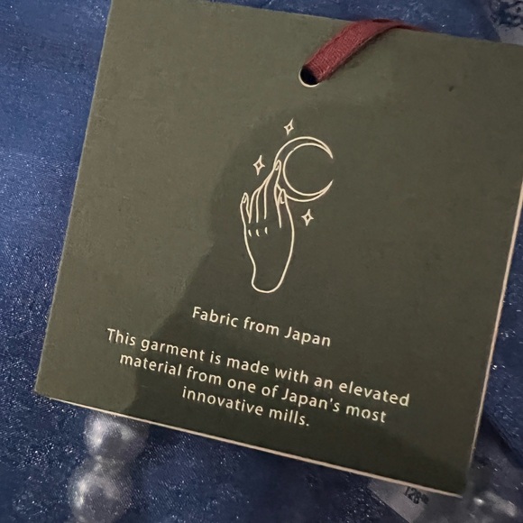 Womens Little Moon sheer blue organza dress from Aritzia - size 10 - NWT - Picture 12 of 16